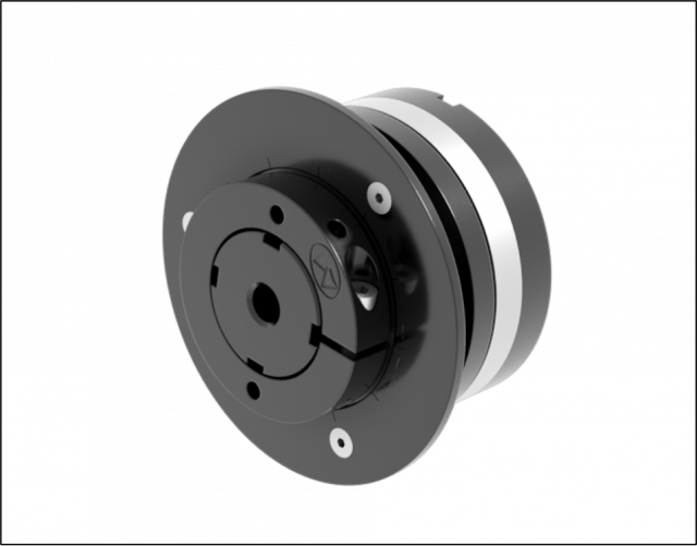 Deserti Torque Limiter Lass Series
